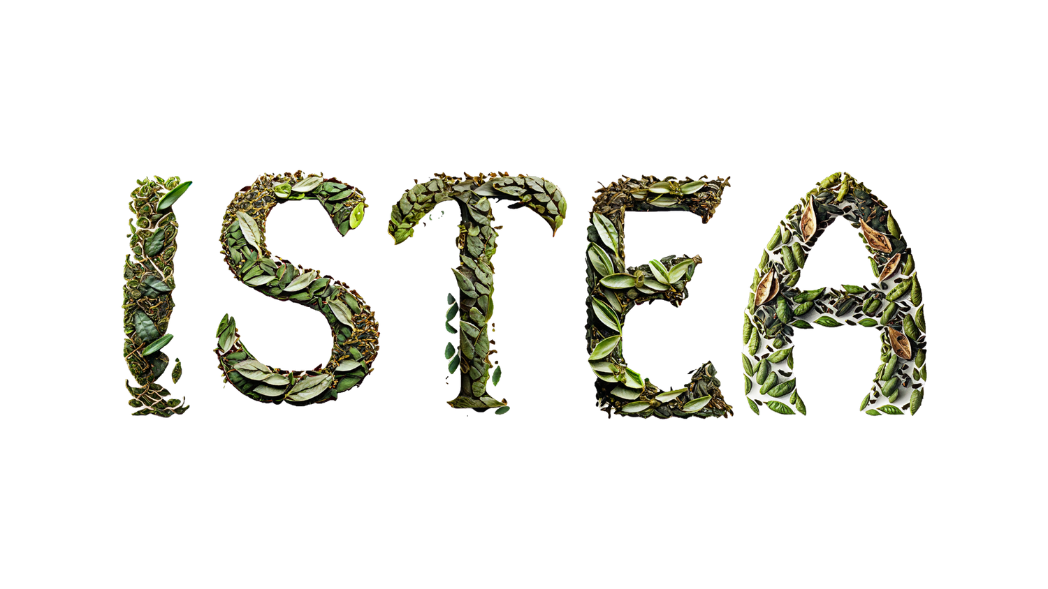 All Tea Products