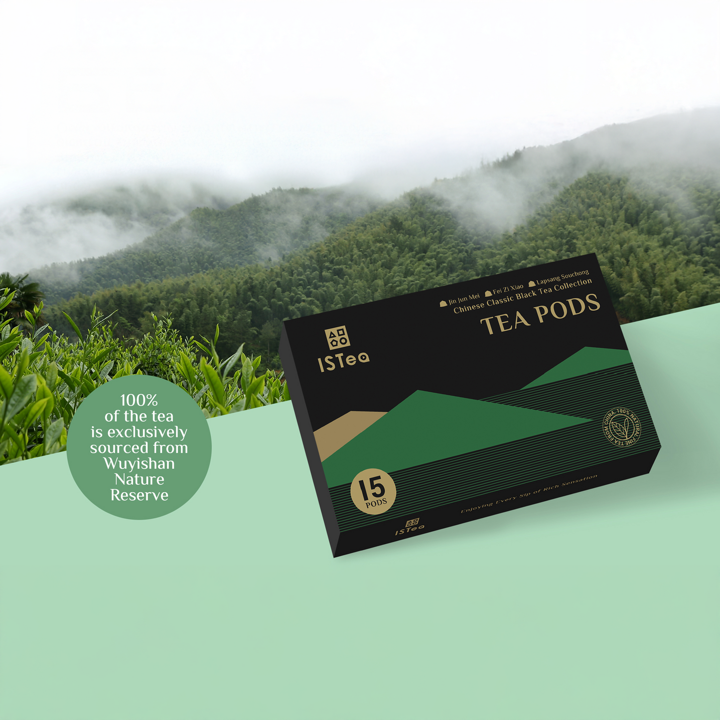 Classic Black Tea Collection Box - Zheng Shan Tang